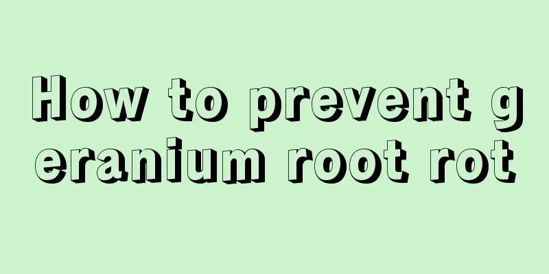 How to prevent geranium root rot