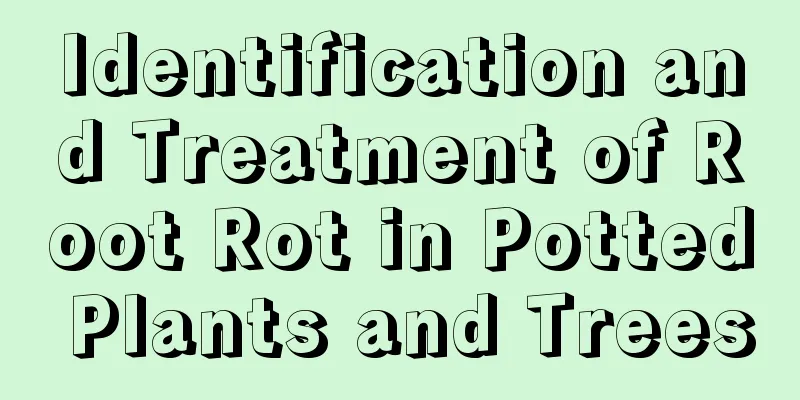 Identification and Treatment of Root Rot in Potted Plants and Trees