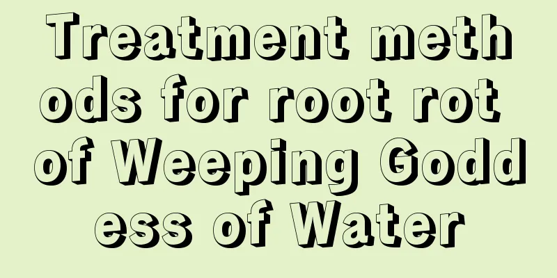 Treatment methods for root rot of Weeping Goddess of Water