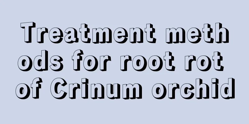 Treatment methods for root rot of Crinum orchid