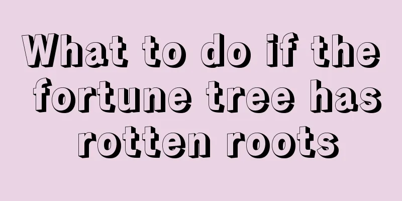 What to do if the fortune tree has rotten roots