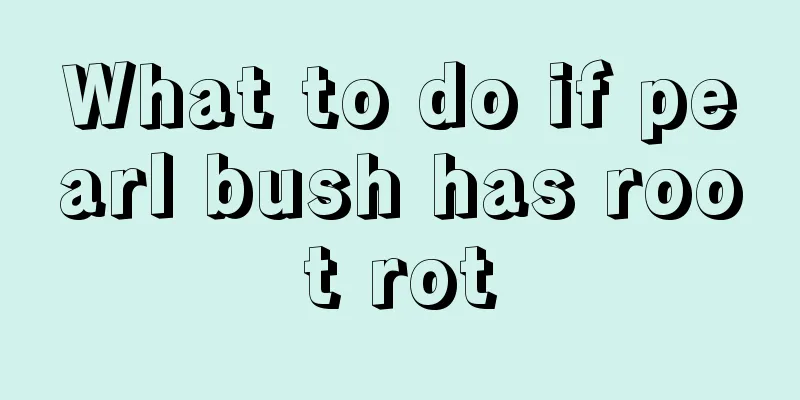 What to do if pearl bush has root rot