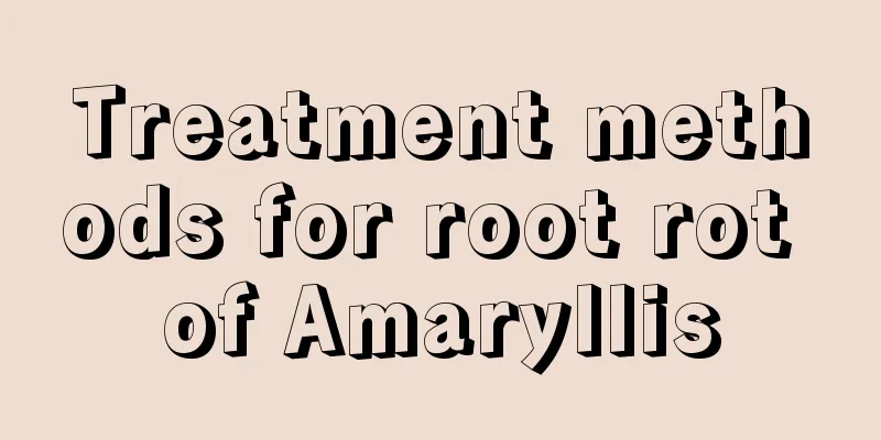 Treatment methods for root rot of Amaryllis