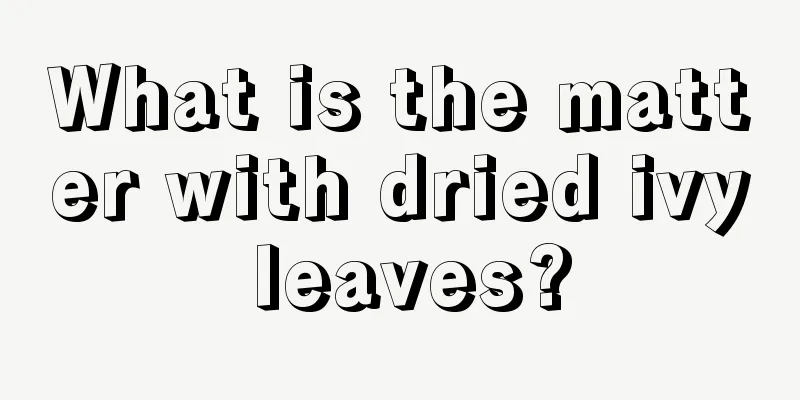 What is the matter with dried ivy leaves?