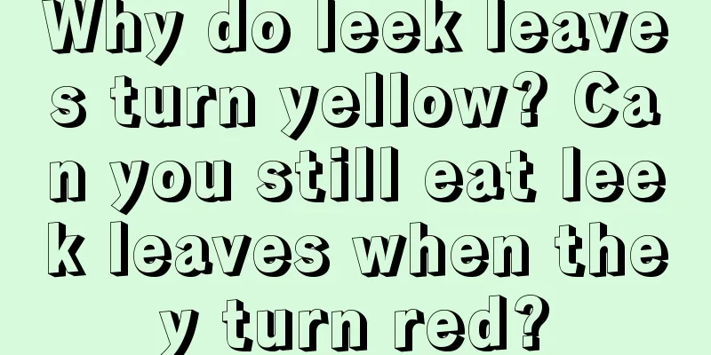 Why do leek leaves turn yellow? Can you still eat leek leaves when they turn red?