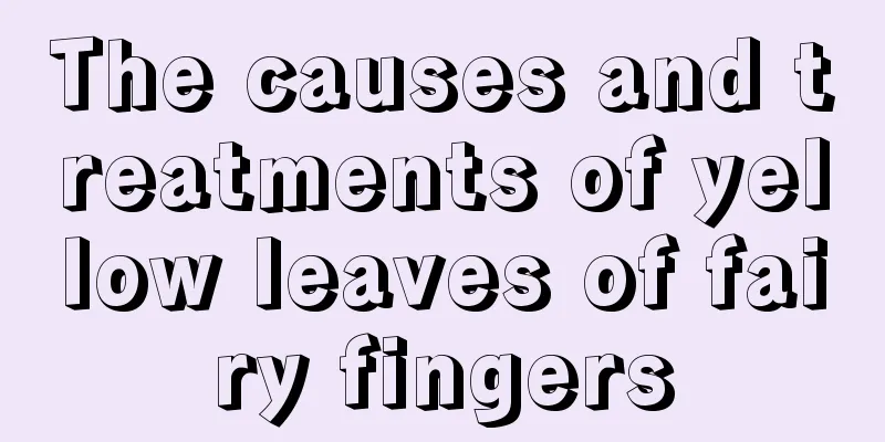 The causes and treatments of yellow leaves of fairy fingers