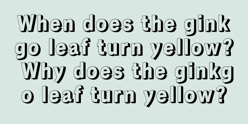 When does the ginkgo leaf turn yellow? Why does the ginkgo leaf turn yellow?