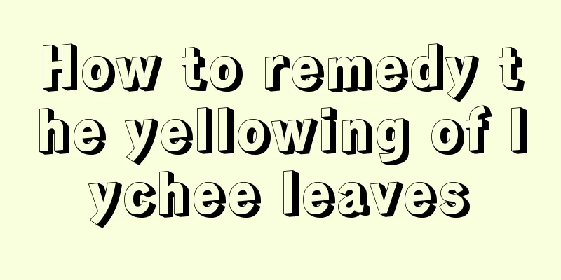 How to remedy the yellowing of lychee leaves