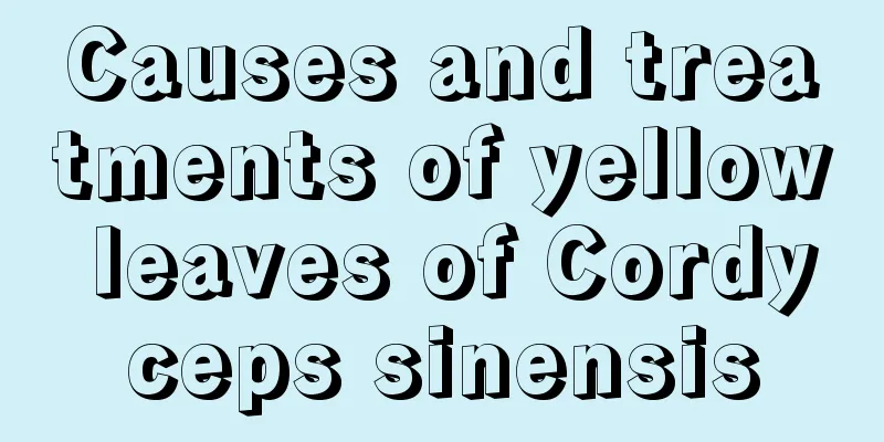 Causes and treatments of yellow leaves of Cordyceps sinensis