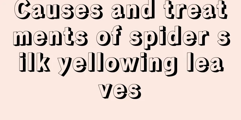 Causes and treatments of spider silk yellowing leaves