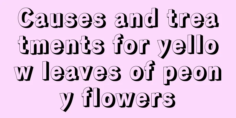 Causes and treatments for yellow leaves of peony flowers