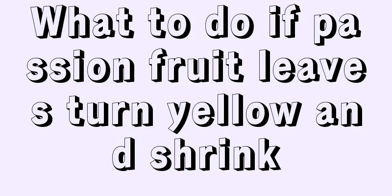 What to do if passion fruit leaves turn yellow and shrink