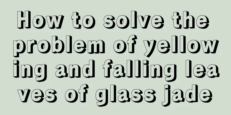 How to solve the problem of yellowing and falling leaves of glass jade