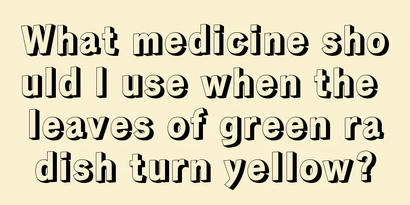 What medicine should I use when the leaves of green radish turn yellow?