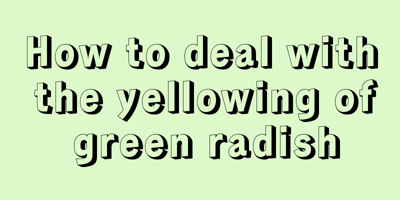 How to deal with the yellowing of green radish