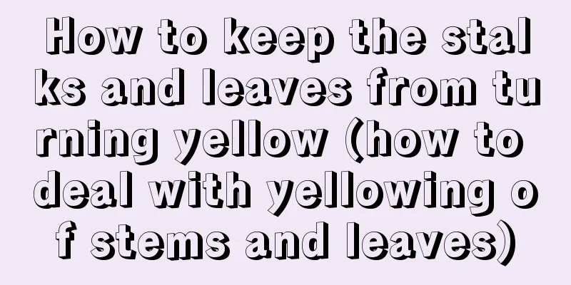 How to keep the stalks and leaves from turning yellow (how to deal with yellowing of stems and leaves)