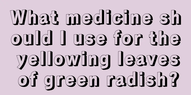 What medicine should I use for the yellowing leaves of green radish?