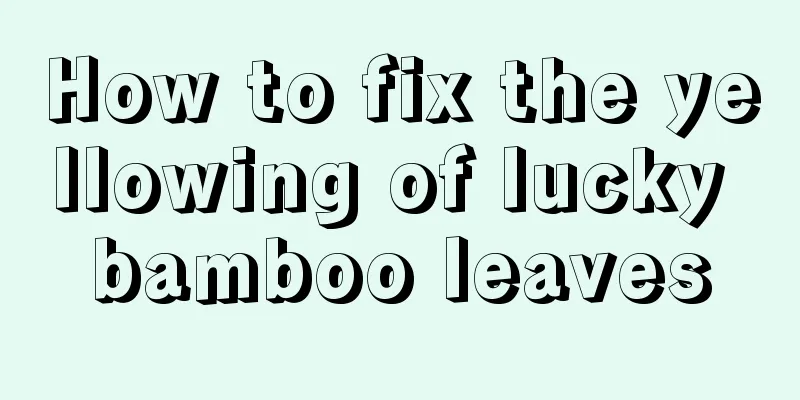 How to fix the yellowing of lucky bamboo leaves