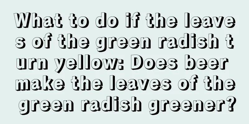 What to do if the leaves of the green radish turn yellow: Does beer make the leaves of the green radish greener?