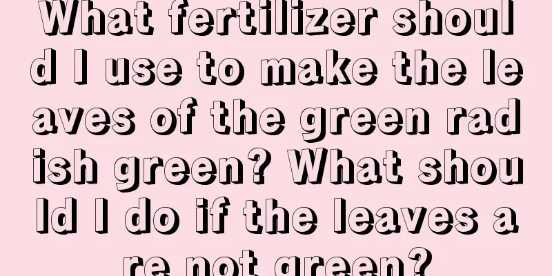 What fertilizer should I use to make the leaves of the green radish green? What should I do if the leaves are not green?