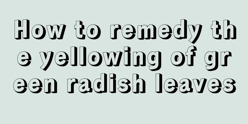 How to remedy the yellowing of green radish leaves