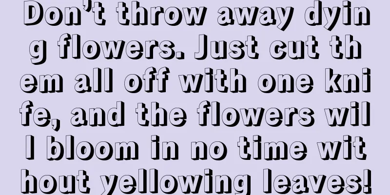 Don’t throw away dying flowers. Just cut them all off with one knife, and the flowers will bloom in no time without yellowing leaves!