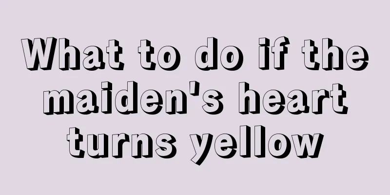 What to do if the maiden's heart turns yellow