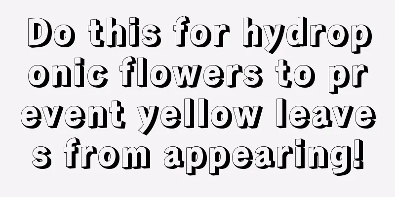 Do this for hydroponic flowers to prevent yellow leaves from appearing!