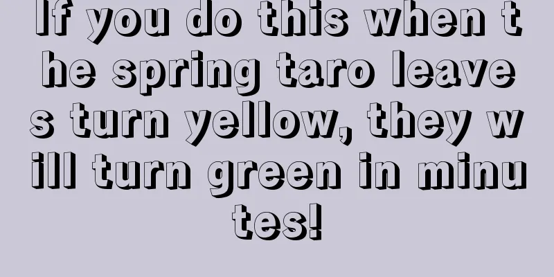 If you do this when the spring taro leaves turn yellow, they will turn green in minutes!