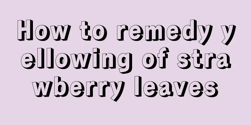 How to remedy yellowing of strawberry leaves