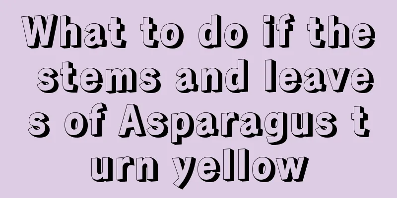 What to do if the stems and leaves of Asparagus turn yellow