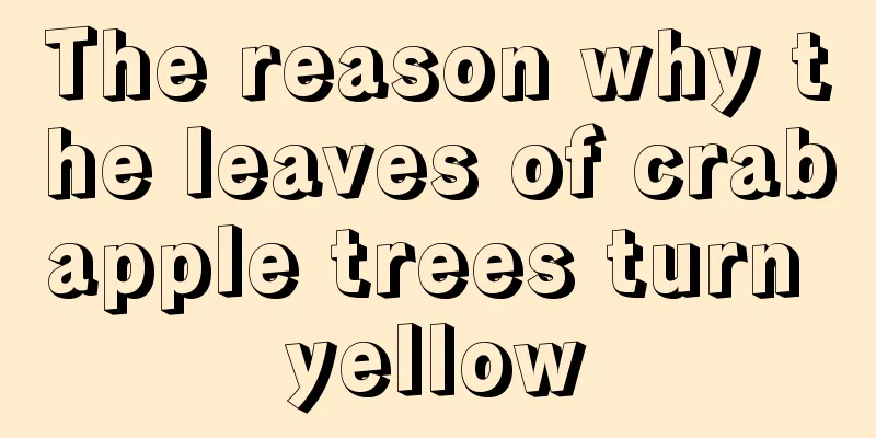 The reason why the leaves of crabapple trees turn yellow