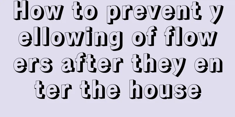 How to prevent yellowing of flowers after they enter the house