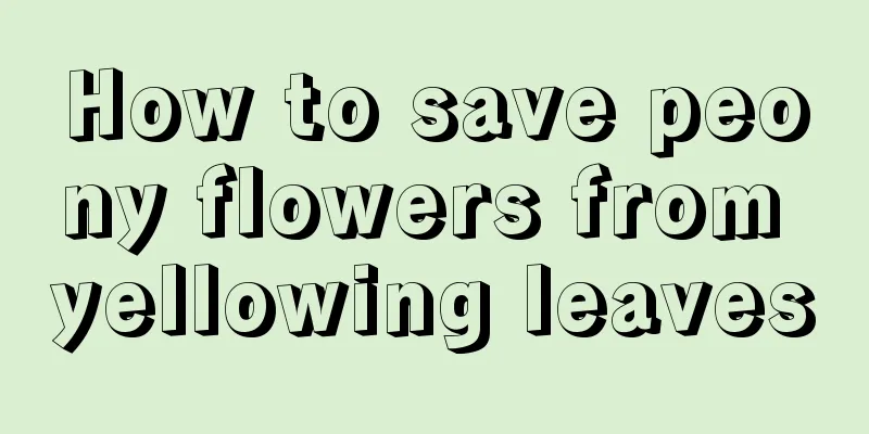 How to save peony flowers from yellowing leaves